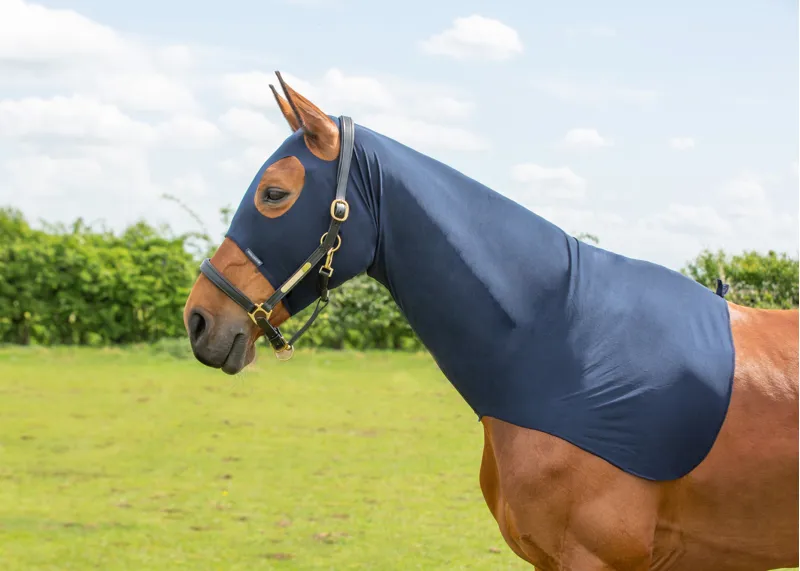 Hy Equestrian Lycra Flex Hood - Navy